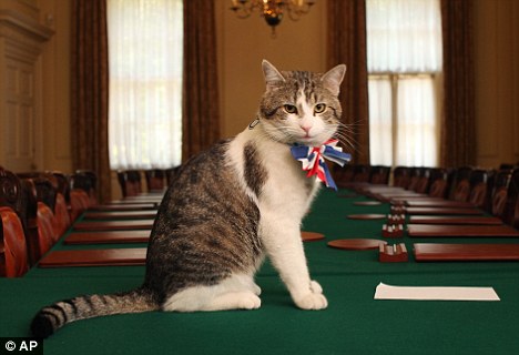 Chief Mouser to the Cabinet Office